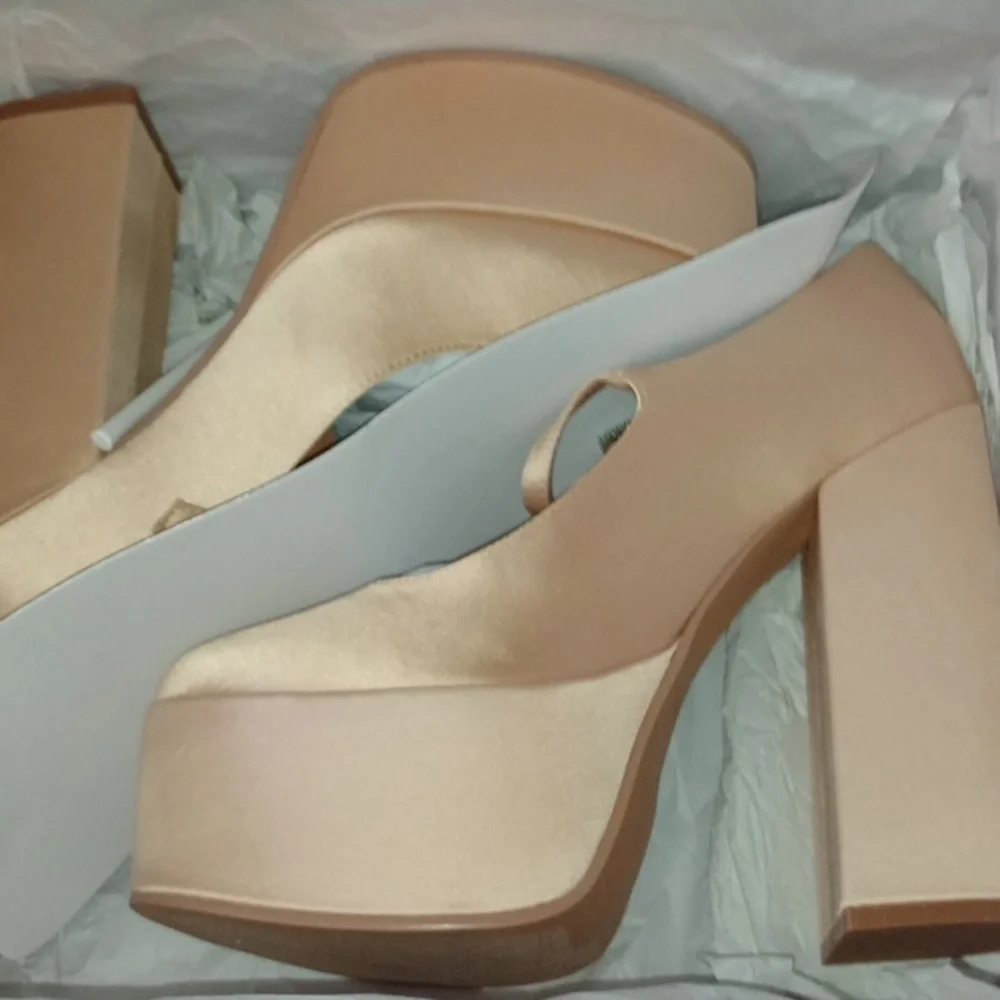 NIB $130 Champagne Satin Maryjane Pump Chunky Heel Platform Heel By Lisa Vicky